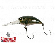 Is Smoke Olive