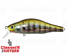 509 Blue Gill