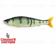 #INT01 Green Perch