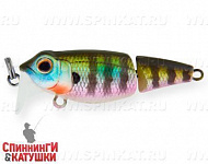 Bluegill (EG-073J#630V)
