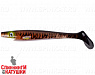 Burbot (SP-172A#147)