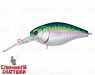 Pacific Sardine (EG-168L#692-713-RP)