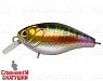 River Radical (EG-164F#A203-264)